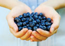Photo of blueberries