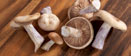 Photo of mushrooms